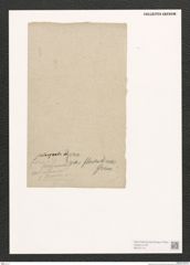 Diatomeae indet. Zeichnungen Sammlung Grunow (NHMW-BOT-W0370110)
